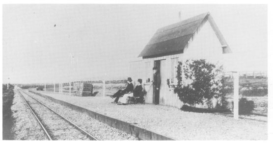 Walberswick Station  photo taken during the early 1890's